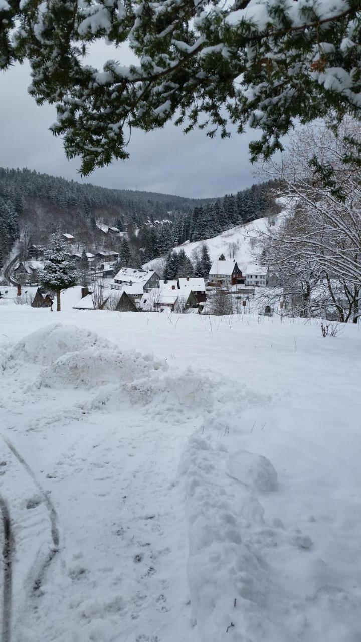 Pension Haus Petra Altenau  Eksteriør bilde